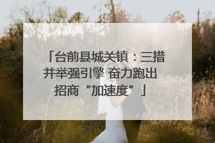 台前县城关镇：三措并举强引擎 奋力跑出招商“加速度”