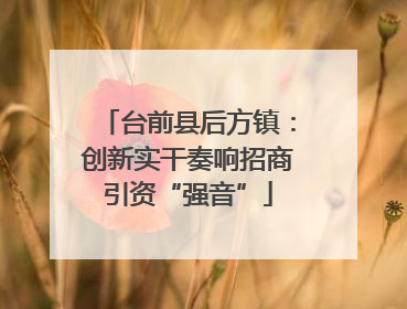 台前县后方镇：创新实干奏响招商引资“强音”