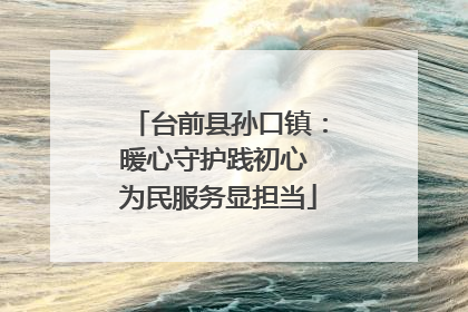 台前县孙口镇：暖心守护践初心 为民服务显担当