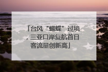 台风“蝴蝶”过境，三亚口岸复航首日客流量创新高