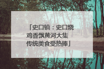 史口镇：史口烧鸡香飘黄河大集 传统美食受热捧