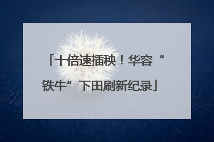 十倍速插秧！华容“铁牛”下田刷新纪录