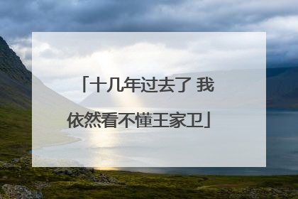 十几年过去了 我依然看不懂王家卫