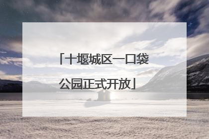 十堰城区一口袋公园正式开放
