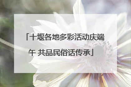 十堰各地多彩活动庆端午 共品民俗话传承
