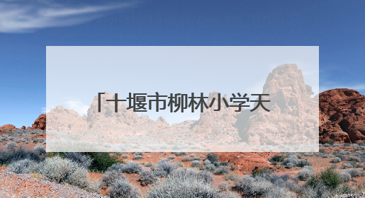 十堰市柳林小学天津路第一校区家长开放周暨庆“六一”系列活动圆满落幕