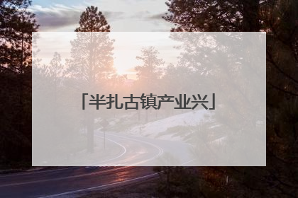 半扎古镇产业兴