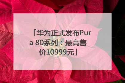 华为正式发布Pura 80系列：最高售价10999元