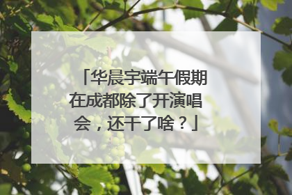 华晨宇端午假期在成都除了开演唱会，还干了啥？