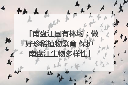 南盘江国有林场：做好珍稀植物繁育 保护南盘江生物多样性