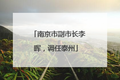 南京市副市长李晖，调任泰州