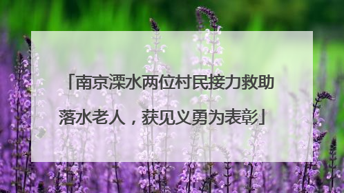 南京溧水两位村民接力救助落水老人，获见义勇为表彰