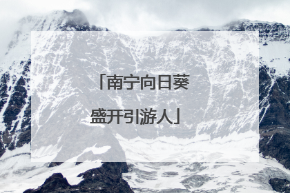 南宁向日葵盛开引游人