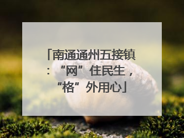 南通通州五接镇：“网”住民生，“格”外用心