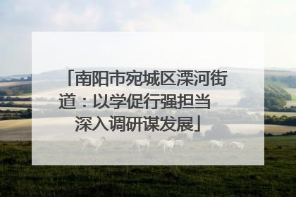 南阳市宛城区溧河街道：以学促行强担当 深入调研谋发展