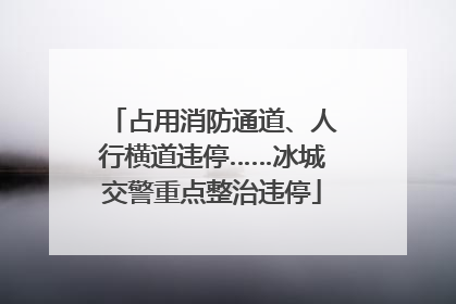占用消防通道、人行横道违停……冰城交警重点整治违停