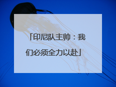 印尼队主帅：我们必须全力以赴