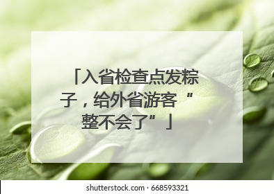入省检查点发粽子，给外省游客“整不会了”