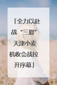 全力以赴战“三夏” 天津小麦机收会战拉开序幕