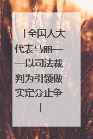 全国人大代表马丽——以司法裁判为引领做实定分止争