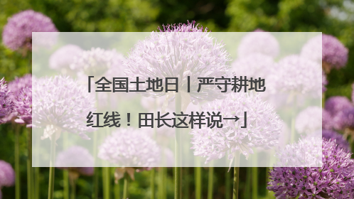 全国土地日丨严守耕地红线！田长这样说→