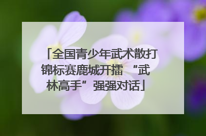 全国青少年武术散打锦标赛鹿城开擂 “武林高手”强强对话