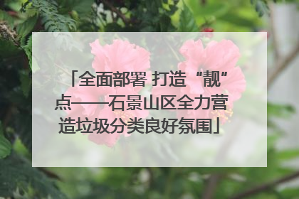 全面部署 打造“靓” 点——石景山区全力营造垃圾分类良好氛围