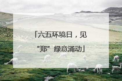 六五环境日，见“郑”绿意涌动
