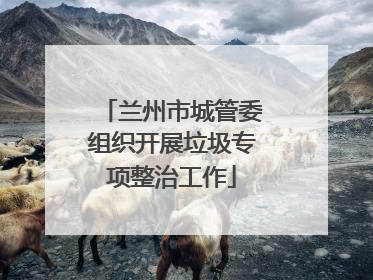 兰州市城管委组织开展垃圾专项整治工作