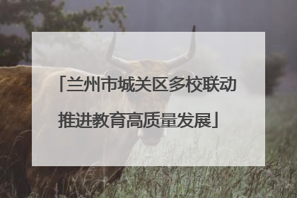 兰州市城关区多校联动推进教育高质量发展