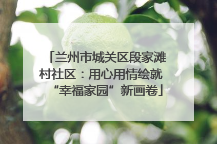 兰州市城关区段家滩村社区：用心用情绘就“幸福家园”新画卷