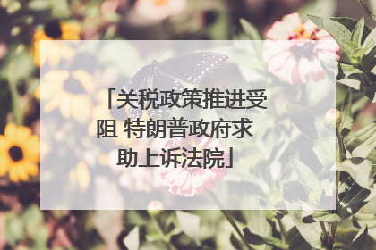 关税政策推进受阻 特朗普政府求助上诉法院