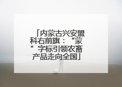 内蒙古兴安盟科右前旗：“蒙”字标引领农畜产品走向全国
