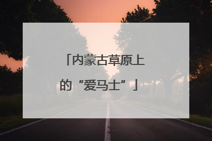 内蒙古草原上的“爱马士”