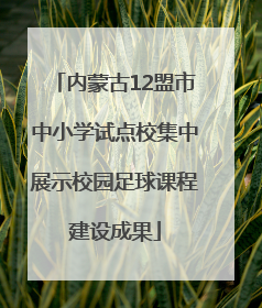 内蒙古12盟市中小学试点校集中展示校园足球课程建设成果