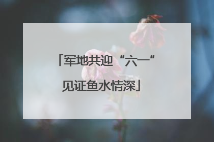 军地共迎“六一” 见证鱼水情深