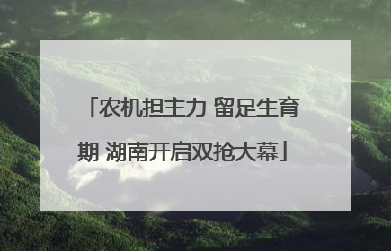 农机担主力 留足生育期 湖南开启双抢大幕
