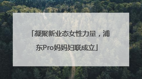 凝聚新业态女性力量，浦东Pro妈妈妇联成立