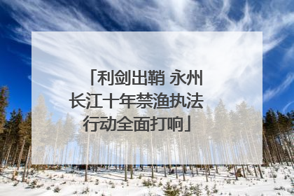 利剑出鞘 永州长江十年禁渔执法行动全面打响