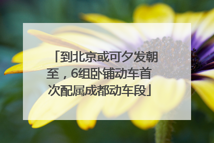 到北京或可夕发朝至，6组卧铺动车首次配属成都动车段