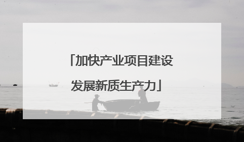 加快产业项目建设 发展新质生产力