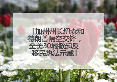 加州州长纽森和特朗普隔空交锋，全美30城掀起反移民执法示威