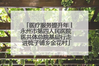 医疗服务提升年丨永州市第四人民医院医共体总院基层行走进梳子铺乡金花村
