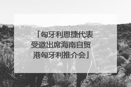 匈牙利恩捷代表受邀出席海南自贸港匈牙利推介会