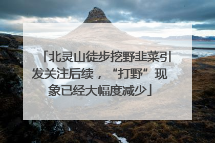 北灵山徒步挖野韭菜引发关注后续，“打野”现象已经大幅度减少