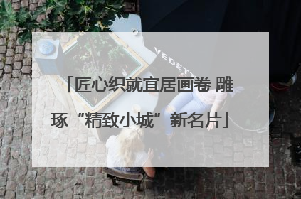 匠心织就宜居画卷 雕琢“精致小城”新名片