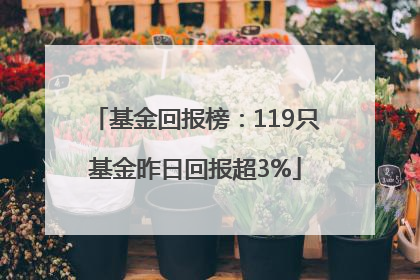 基金回报榜：119只基金昨日回报超3%