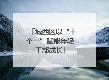 城西区以“十个一”赋能年轻干部成长