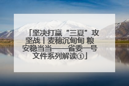 坚决打赢“三夏”攻坚战丨麦穗沉甸甸 粮安稳当当——省委一号文件系列解读①