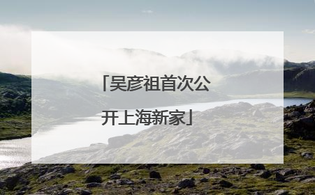 吴彦祖首次公开上海新家
